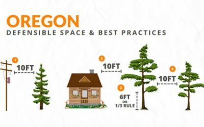 Defensible Space